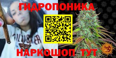 скорость Пугачёв