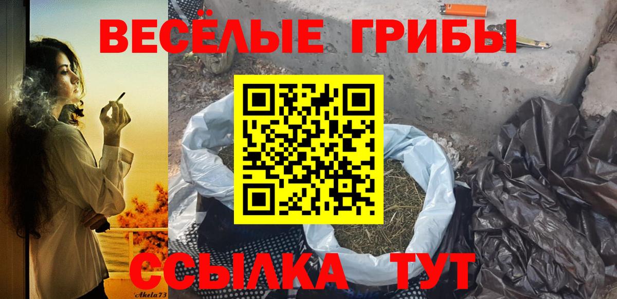 Славянск-на-Кубани  где можно купить наркотик  Галлюциногенные грибы GOLDEN TEACHER  Вход с VPN  Галлюциногенные грибы Psilocybine cubensis 